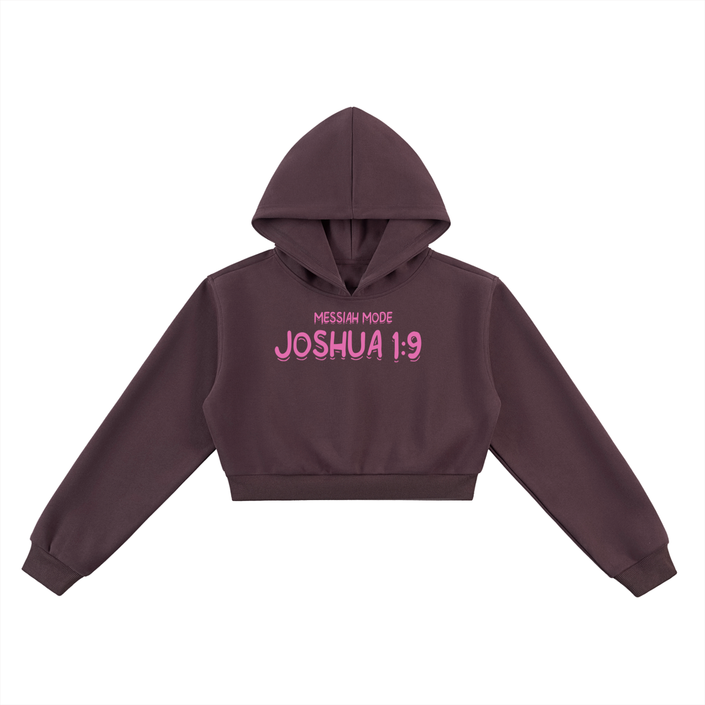 Messiah Mode Essential Cropped Hoodie